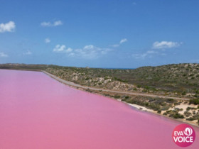 Lake Hillier – viên ngọc hồng độc nhất của thiên nhiên Australia