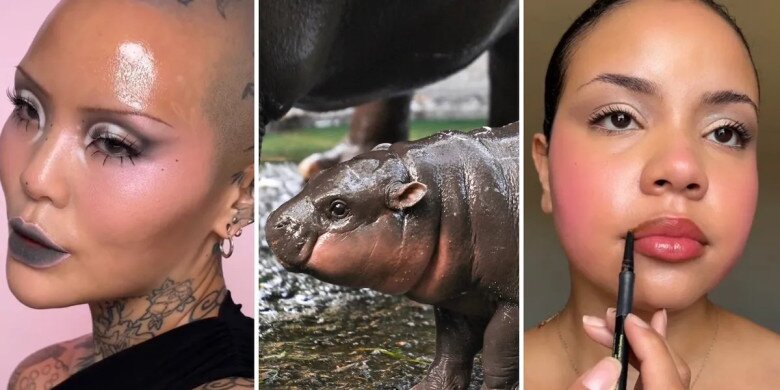 Moo Deng Makeup: Xu hướng trang điểm giống chú hà mã đang viral từ Âu sang Á, báo hiệu hot trend năm nay - 2