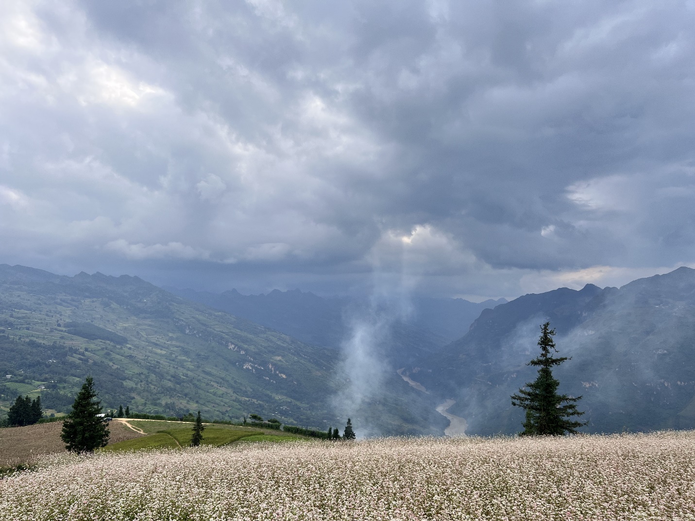 Phát hiện &#34;thảo nguyên Thụy Sĩ trong lòng Hà Giang&#34;, thỏa sức trekking, camping giữa thiên nhiên hùng vĩ  - 2