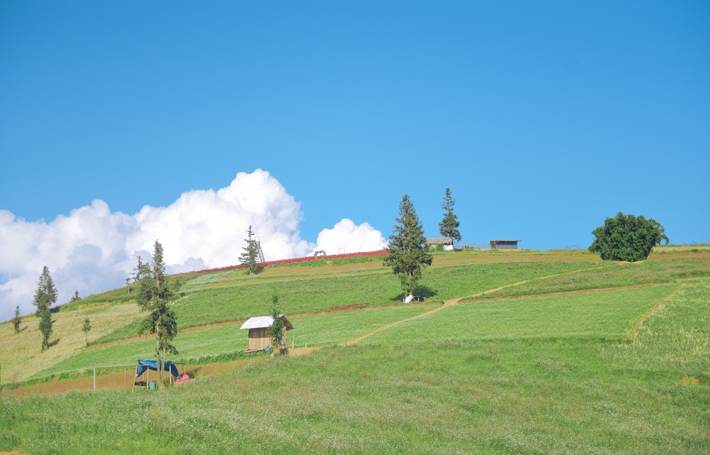 Phát hiện &#34;thảo nguyên Thụy Sĩ trong lòng Hà Giang&#34;, thỏa sức trekking, camping giữa thiên nhiên hùng vĩ  - 4