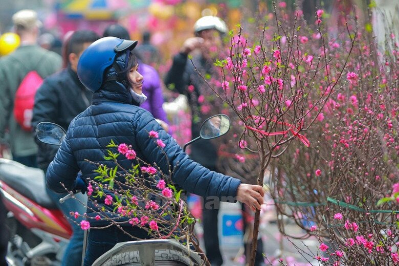 7 khu chợ nổi tiếng nhộn nhịp nhất Hà Nội vào dịp Tết, tha hồ mua đồ trang trí, cây cảnh không thiếu thứ gì - 7