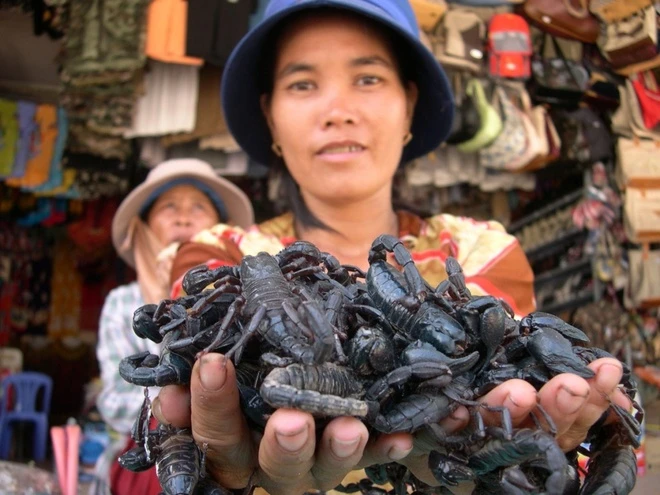 Kỳ lạ chợ côn trùng lớn nhất miền Tây: Cánh đàn ông thích mê vì lời đồn &#34;xuân dược&#34; - 3