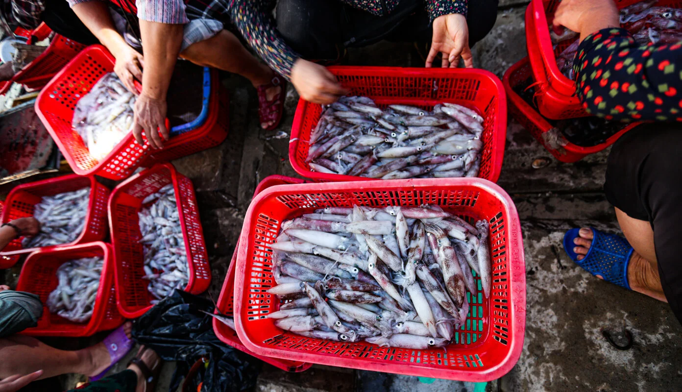 Chợ cá lâu đời nhất Hà Tĩnh, tồn tại hàng trăm nhờ bán hải sản tươi rói với giá cực rẻ - 2