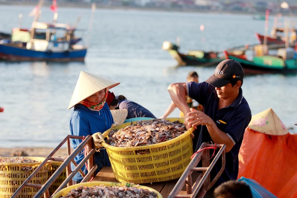 Chợ cá lâu đời nhất Hà Tĩnh, tồn tại hàng trăm nhờ bán hải sản tươi rói với giá cực rẻ - 4