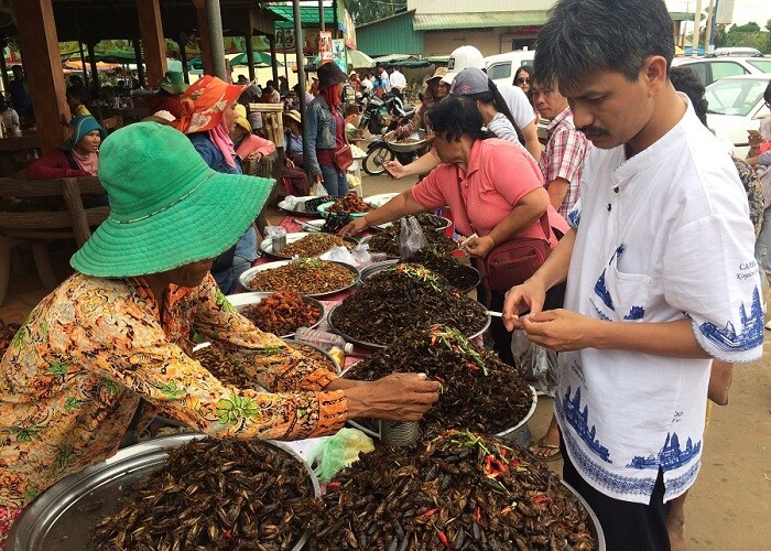 Kỳ lạ chợ côn trùng lớn nhất miền Tây: Cánh đàn ông thích mê vì lời đồn &#34;xuân dược&#34; - 4