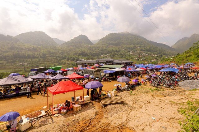 Dậy từ mờ sáng đến phiên chợ trâu độc lạ ở Lào Cai: Từ 6h sáng trâu đã &#34;đen kịt&#34; một vùng - 1