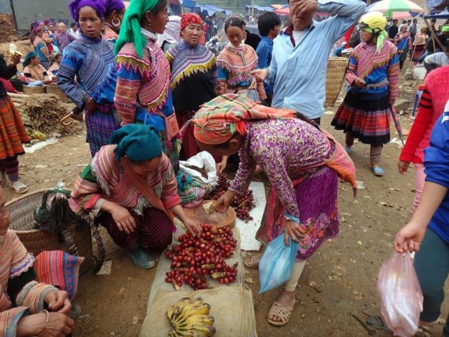 Dậy từ mờ sáng đến phiên chợ trâu độc lạ ở Lào Cai: Từ 6h sáng trâu đã &#34;đen kịt&#34; một vùng - 3