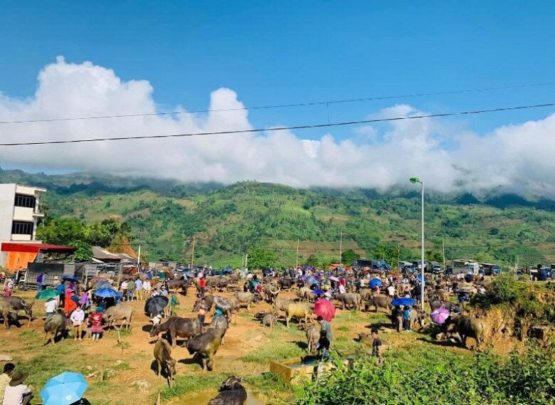 Độc lạ phiên chợ mua bán trâu bò lớn nhất Tây Bắc, không cần &#34;giao dịch&#34; thành công vì một lý do - 1