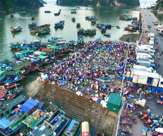 Ghé khu chợ bán hải sản tươi ngon nhất Quảng Ninh, toàn cá mực vừa đánh bắt từ biển về, giá siêu rẻ - 1