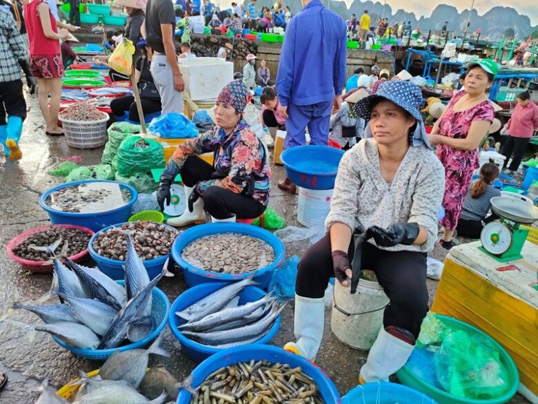 Ghé khu chợ bán hải sản tươi ngon nhất Quảng Ninh, toàn cá mực vừa đánh bắt từ biển về, giá siêu rẻ - 4