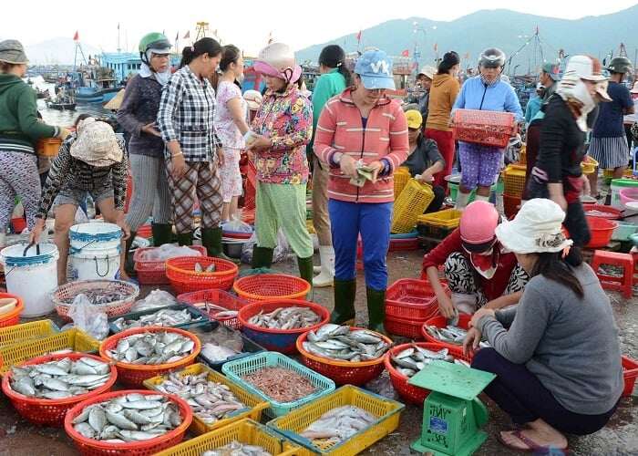 Ghé khu chợ bán hải sản tươi ngon nhất Quảng Ninh, toàn cá mực vừa đánh bắt từ biển về, giá siêu rẻ - 2