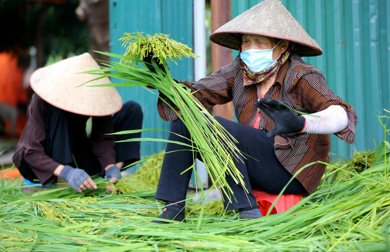 Đu show &#34;Anh Trai&#34;, khám phá điểm đến thú vị nhất khu vực Mỹ Đình: Lưu ngay 4 địa chỉ đông nghìn nghịt người - 3