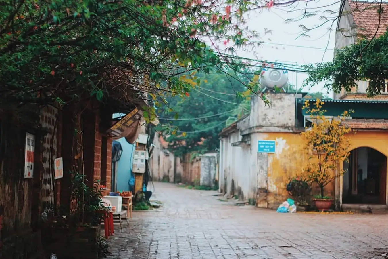 Những ngôi làng cổ Hà Nội ngày đầu đông mang vẻ đẹp trầm mặc, nơi có tuổi đời hơn 500 năm đẹp tựa truyện cổ tích - 1