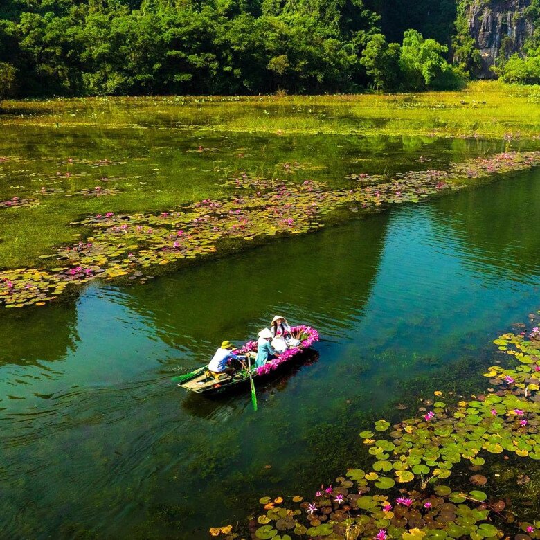 Mê mẩn Tam Cốc mùa hoa súng nở rộ, say mê quên lối về với danh lắm thắng cảnh, món ngon vùng cố đô - 2