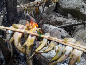 Loài cá tên nghe đã thấy khó ăn là đặc sản được ví như "nhân sâm" dưới nước, chỉ dùng để đãi khách quý vì siêu hiếm
