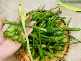Thứ tưởng măng tây đang khiến chị em Thủ đô "lùng sục": Mỗi năm chỉ có 1 mùa, người chê "như bò nhai rơm" người lại cực nghiện