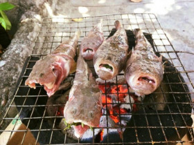 Loài cá có tên nghe đã thấy "sang chảnh" là đặc sản xưa chỉ để tiến vua, ngoại hình xấu "đau đớn" nhưng vị ngon vượt trội