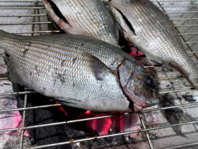 Đảo Lý Sơn có loài cá “thoắt ẩn thoắt hiện” mang cái tên nghe "rợn tóc gáy" cực khó săn, có tiền chưa chắc mua được