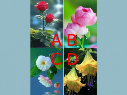 Trắc nghiệm: Người ấy yêu bạn sâu đến mức nào? Chọn một bông hoa để biết đáp án