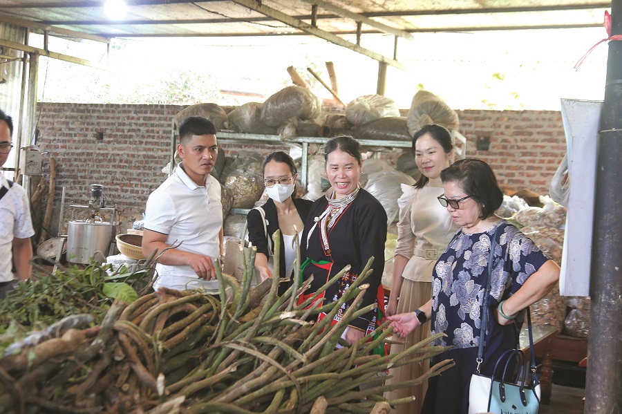 Phát triển và bảo tồn bản sắc ở vùng đồng bào dân tộc thiểu số - 1