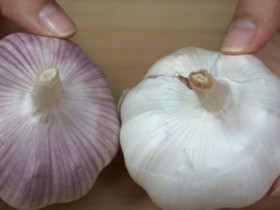 Tỏi bán đầy chợ nhưng có 4 củ này đừng mua, đầu bếp nhắc "trời nồm ẩm" này nhớ làm ngay nhé!