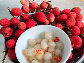 Thứ quả xưa chín đỏ au khắp rừng không ai thèm hái, nay thành đặc sản chị em nhìn đã "rớt nước miếng"