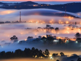 Tháng 11 Đà Lạt vào mùa đẹp nhất năm: Cả thành phố rực rỡ màu hoa dã quỳ, hồng và sương sớm