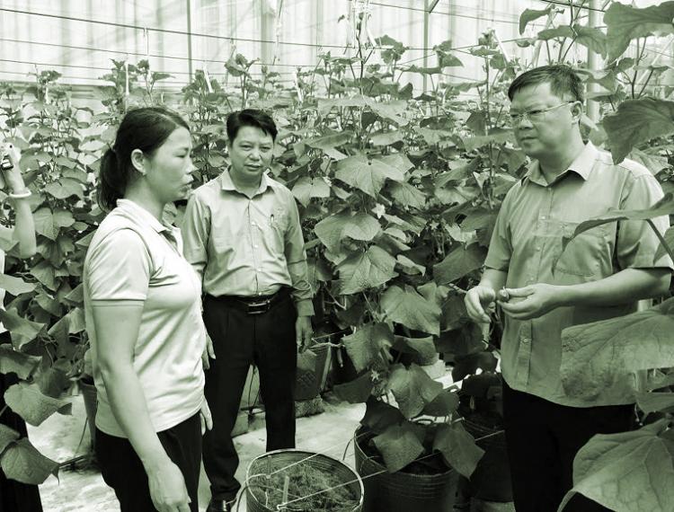 Không phải quần ống rộng hay legging, đây là kiểu quần mặc với áo khoác dài đẹp nhất giúp kéo chân dài cả mét