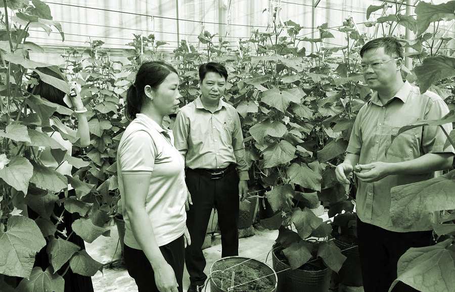 “Dám nghĩ, dám làm” tạo đột phá cho Hà Nội - 2