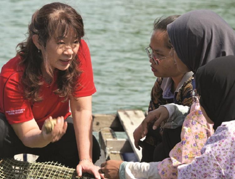 Người đóng góp cho đại dương xanh