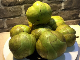 Loại quả nhắc tên đã "rớt nước miếng", xưa chỉ mọc dại không ai thèm ăn nay thành của hiếm phải đặt trước mới có