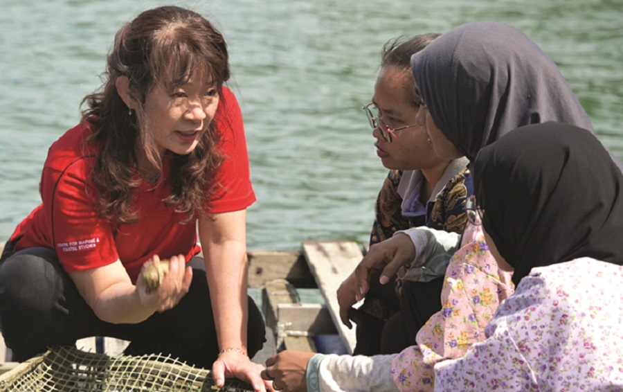 Người đóng góp cho đại dương xanh - 1