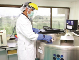 Lưu trữ tế bào gốc