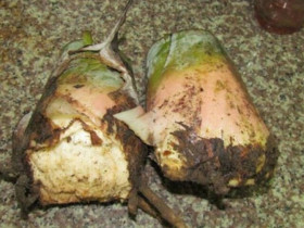 Thứ xưa nhà nghèo ăn chống đói nay thành đặc sản đóng hộp bán khắp nơi, người thành phố nhìn mà thòm thèm