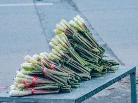 Loại củ mọc từ dưới bùn xưa chỉ người Ninh Bình ăn nay thành đặc sản chị em "săn lùng", mỗi năm chỉ xuất hiện vài tuần là hết