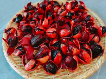Loại quả có tên nghe rợn người là đặc sản chỉ Quảng Ninh mới có, giá 150.000đ/kg vẫn "cháy hàng" vì siêu hiếm
