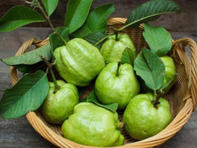 12 loại quả bán đầy chợ Việt, bệnh ung thư rất sợ, từ 5.000 đồng có thể mua nhưng nhiều người lại bỏ qua