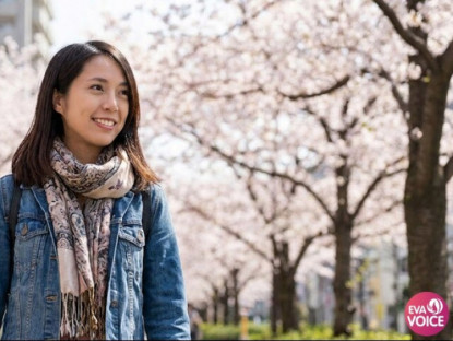 Khi nhân quả nhẹ nhàng quay về: Hành trình của người khôn ngoan trong một thế giới không bao giờ ngừng trả lời (P.1)