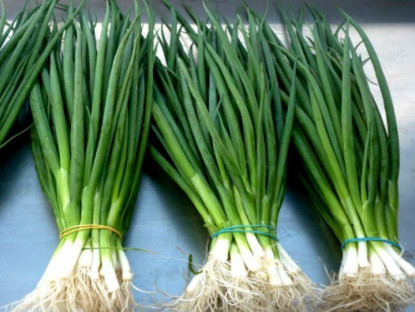 Hành lá mua về nhanh hỏng, ngâm trong nước này để vài tháng vẫn xanh tươi, vị ngon như mới hái