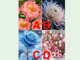 Trắc nghiệm: Chọn một loài hoa để biết kết hôn xong bạn sẽ ngồi hưởng sung sướng hay tự mình gánh cả gia đình?
