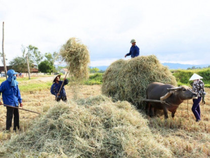 Nghề lạ ở Việt Nam: Thứ từng bị vứt bỏ nay lên đời thành "đặc sản vàng mềm" giúp nông dân kiếm tiền làm giàu