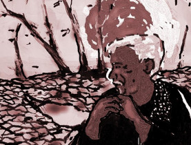 Người gieo nắng