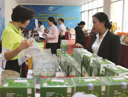 Phụ nữ tham gia xây dựng nông thôn mới, đô thị văn minh