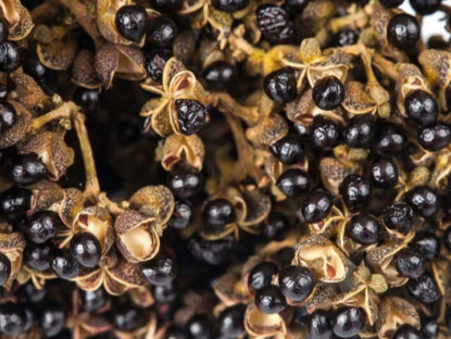 "Gia vị đệ nhất Tây Bắc" xưa rẻ bèo ít ai mua, nay thành đặc sản đắt đỏ nhờ mùi vị đặc trưng, giá 350.000 đồng/kg