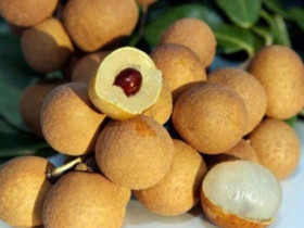 5 nhóm thực phẩm là “thần dược giá bình dân”, bồi bổ khí huyết giúp phụ nữ đẹp da, sống thọ