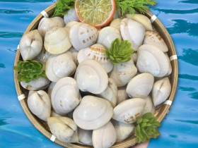 Ngao mua về không kịp ăn hết, nhớ làm điều này ngao sẽ tươi lâu, không teo quắt mà vẫn mọng ngọt như mới mua về