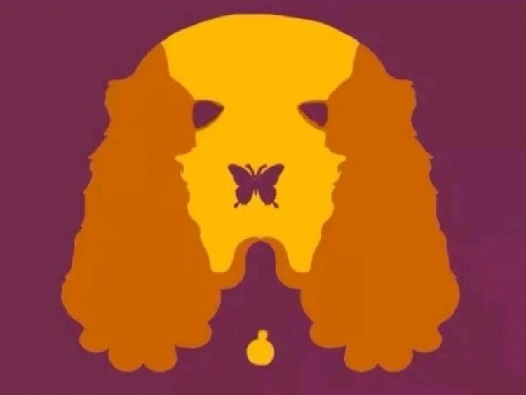 Trắc nghiệm: Bạn nhìn thấy gì đầu tiên? Đáp án hé lộ kiểu người bạn sẽ trở thành khi rơi vào tình yêu