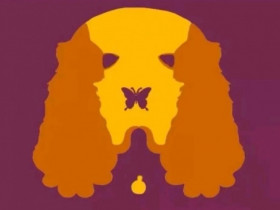 Trắc nghiệm: Bạn nhìn thấy gì đầu tiên? Đáp án hé lộ kiểu người bạn sẽ trở thành khi rơi vào tình yêu