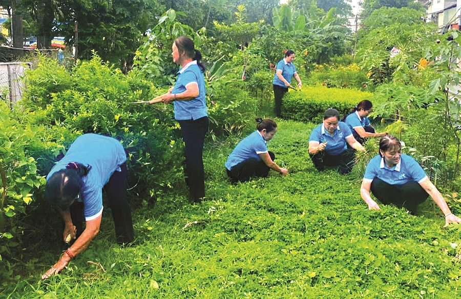 Phụ nữ Thủ đô chung tay xây dựng Hà Nội xanh, sạch, đẹp - 2