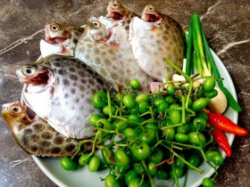 Loài cá có tên lạ xưa từng bị lãng quên, nay thành đặc sản nổi tiếng ở Cà Mau nhờ vị thơm béo khó cưỡng